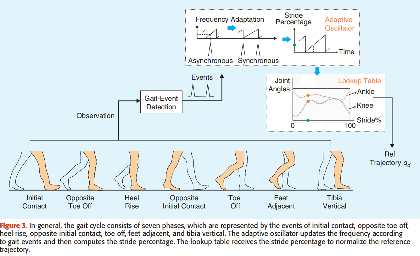 gait-cycle.png