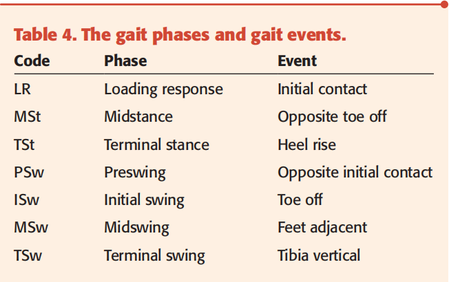 gait-phases-and-gait-events.png