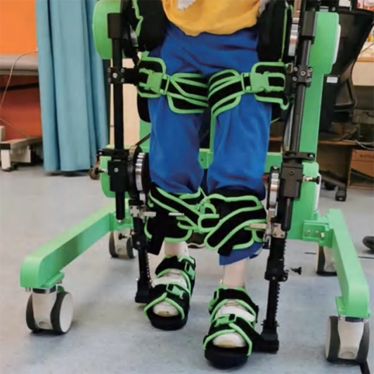 rehabilitation robot